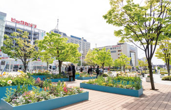 会議開催に合わせて花で装飾された新潟駅南口広場