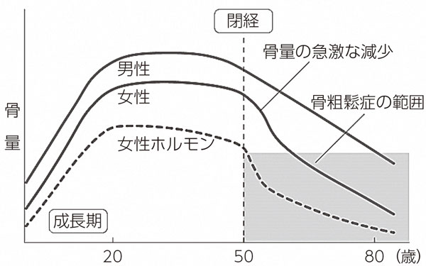 加齢による骨量の変化の推移