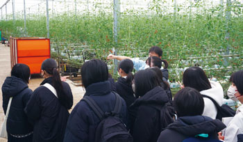 修学旅行では、新潟の一次産業に対する理解を深めるため、ICT技術を活用したトマト栽培について学んだ