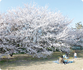 山の下海浜公園