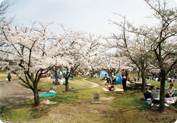 亀田公園