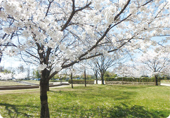 濁川公園