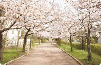 寺尾中央公園