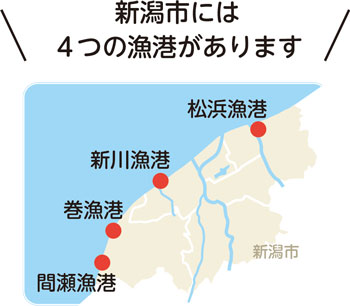 新潟市には4つの漁港があります