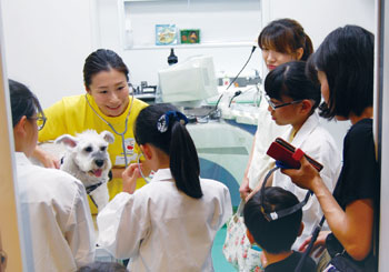 獣医師仕事体験
