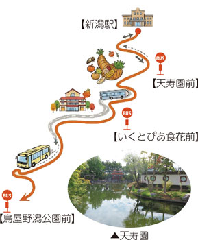 たとえばこんな楽しみ方