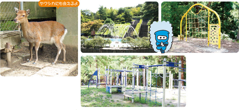 秋葉公園　ヤクシカにも会えるよ
