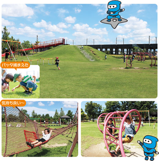 みどりと森の運動公園　バッタ捕まえた　気持ち良い～