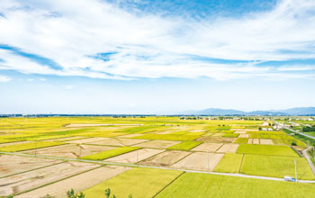 酒造りに恵まれた気候風土