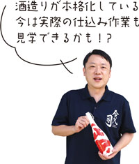 酒造りが本格化している今は実際の仕込み作業も見学できるかも！?