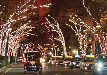 NIIGATA光のページェント