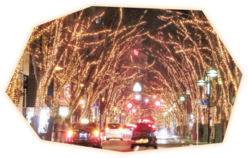 新潟駅南口・けやき通り