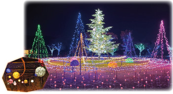 いくとぴあ食花