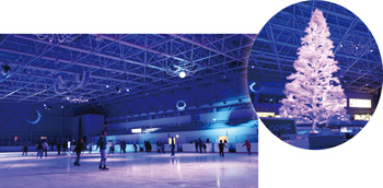 MGC三菱ガス化学アイスアリーナ