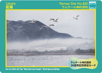 潟フェス限定の湿地カード