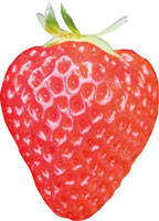 おいしい越後姫の選び方