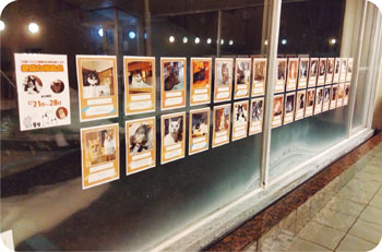 愛猫自慢風呂_昨年の様子