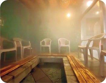 スチームサウナ