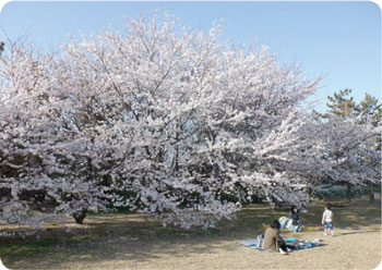 山の下海浜公園
