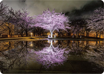 白山公園空中庭園