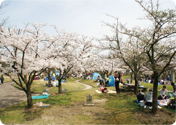 亀田公園