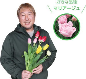 JA新潟かがやき切り花部会チューリップ専門部長_荒井勝利さん_好きな品種：マリアージュ