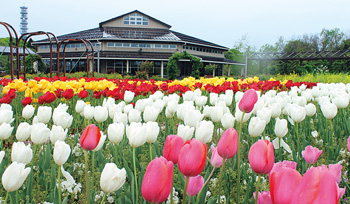 いくとぴあ食花