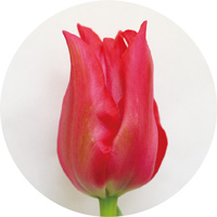 プリティウーマン