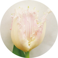 ハウステンボス