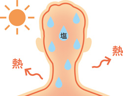 熱 熱 塩
