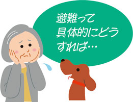 避難って具体的にどうすれば…