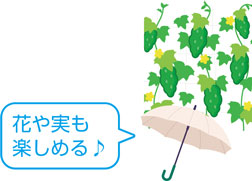 花や実も楽しめる♪