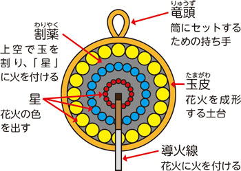 花火の中を見てみよう!