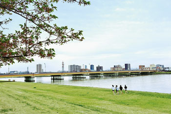 桜遊歩道公園