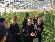 市長やビジネス関係者らが温室技術を活用した農場を視察（2016年3月）