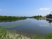 松浜の池の写真　ダウンロードページへリンク