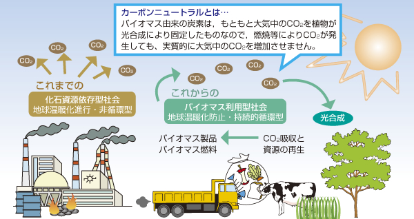 バイオマスイメージ