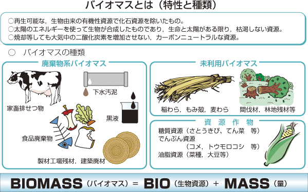 バイオマスとは（特性と種類）