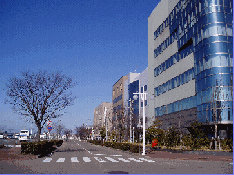 新光町地区　写真