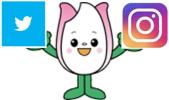 新潟市食育・花育推進キャラクターまいかちゃんの公式インスタグラムとツイッター