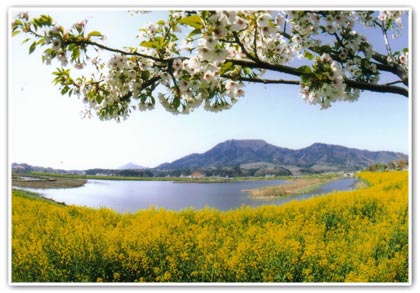 上堰潟公園(うわせきがたこうえん)から見た角田山