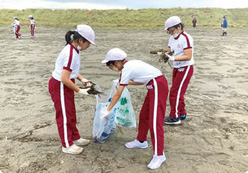 太夫浜小学校 ウミガメ復活プロジェクト海岸清掃