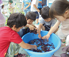 諏訪木保育園の子どもたちがバケツに入ったシソを眺めている写真