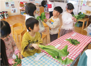 子どもたちが「葉物野菜」を手に取り、観察している写真