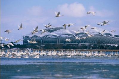 鳥屋野潟満喫コースの写真