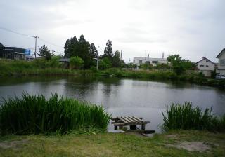 北上の池の写真