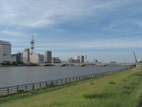 信濃川沿いの景観の写真